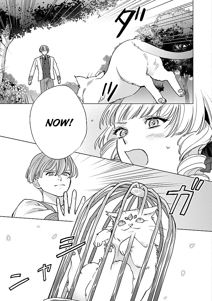 Cecilia-chan Loves the Losing Hero. Chapter 5 Page 21